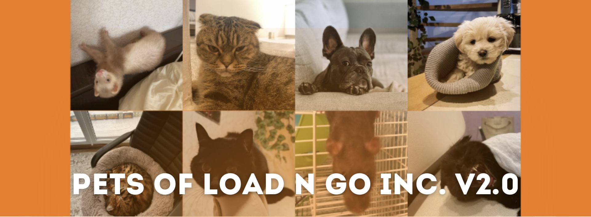 PETS OF LOADN GO INC.